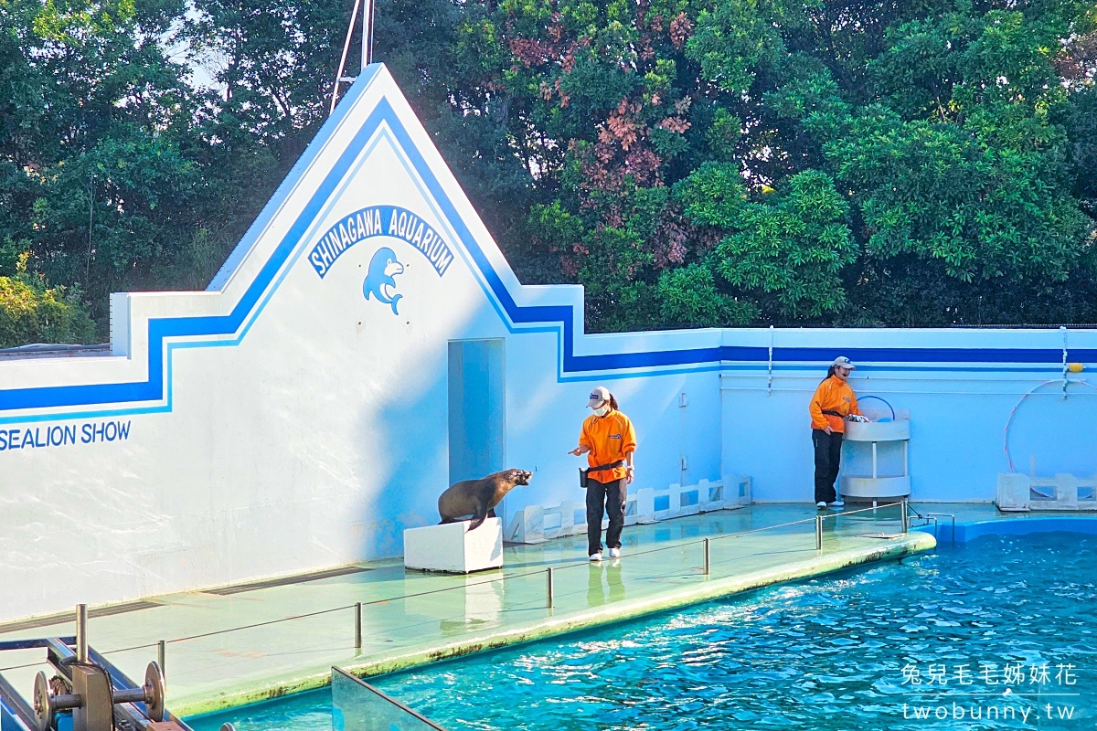 品川水族館しながわ水族館｜海豚秀、海獅秀，海底隧道有海龜從頭頂游過｜東京景點 @兔兒毛毛姊妹花