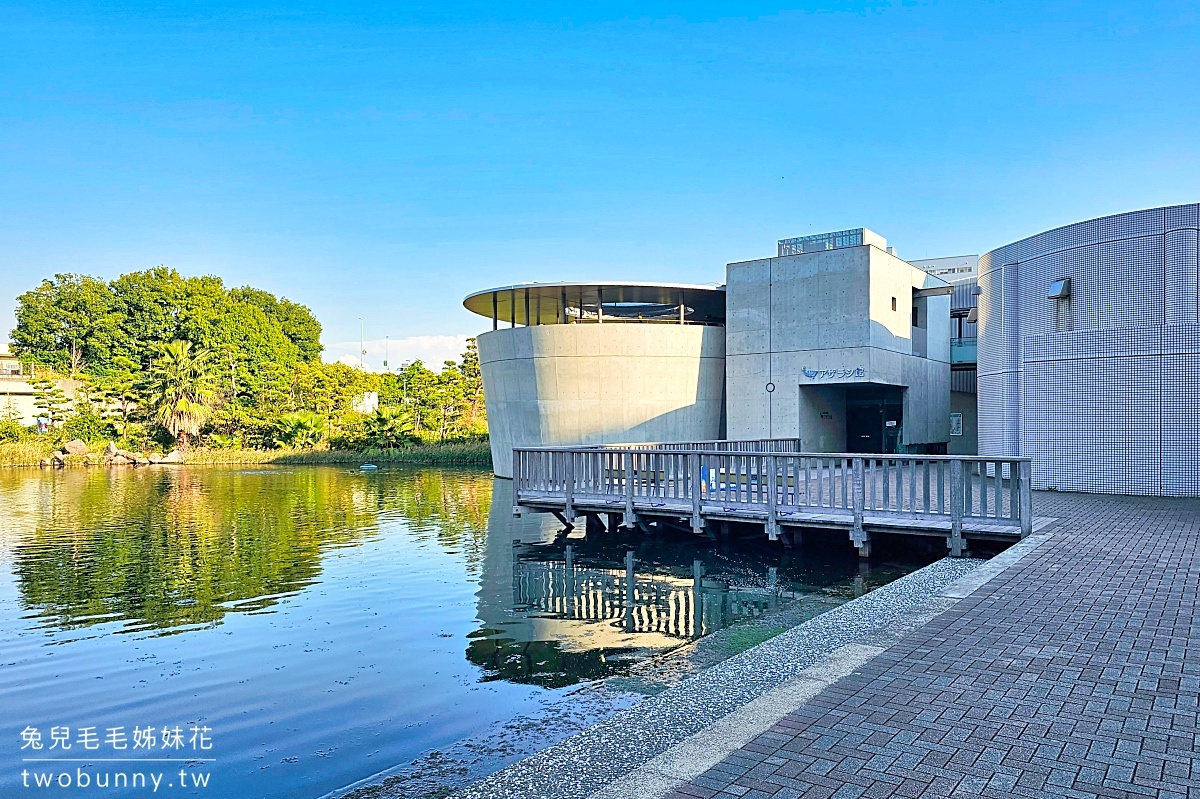 品川水族館しながわ水族館｜海豚秀、海獅秀，海底隧道有海龜從頭頂游過｜東京景點 @兔兒毛毛姊妹花