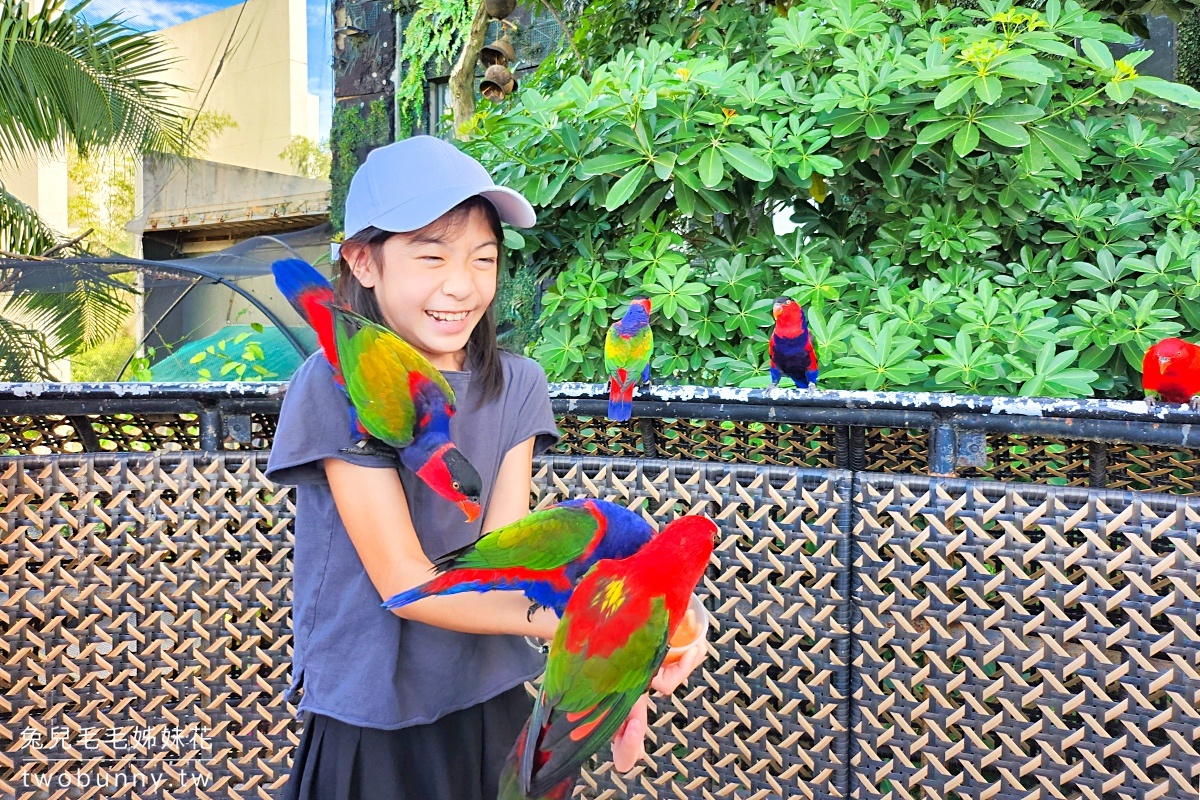 宿霧景點【宿霧海洋公園 Cebu Ocean Park】不只有夢幻海底隧道，還有鳥兒互動體驗 @兔兒毛毛姊妹花