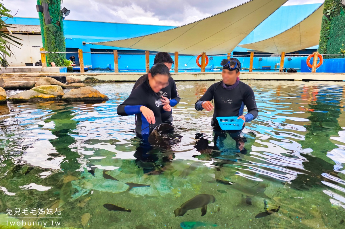 宿霧景點【宿霧海洋公園 Cebu Ocean Park】不只有夢幻海底隧道，還有鳥兒互動體驗 @兔兒毛毛姊妹花