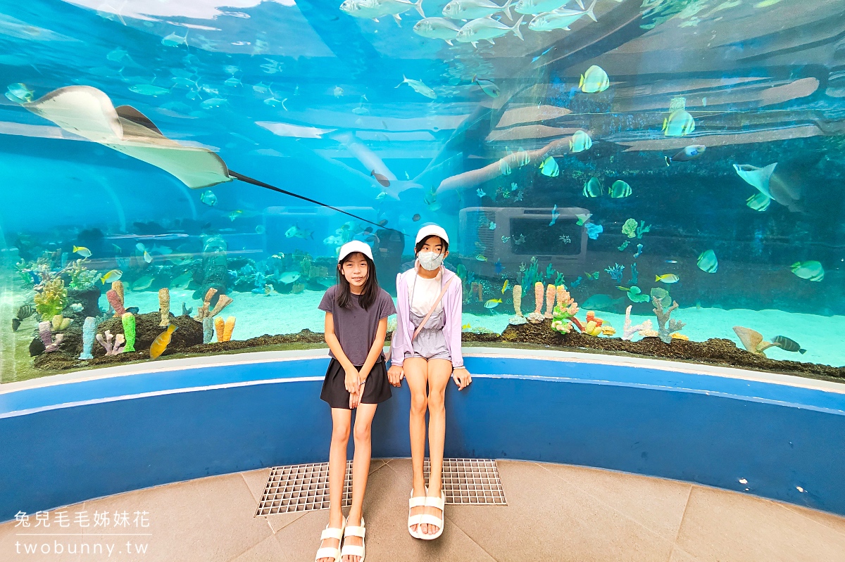 宿霧景點【宿霧海洋公園 Cebu Ocean Park】不只有夢幻海底隧道，還有鳥兒互動體驗 @兔兒毛毛姊妹花