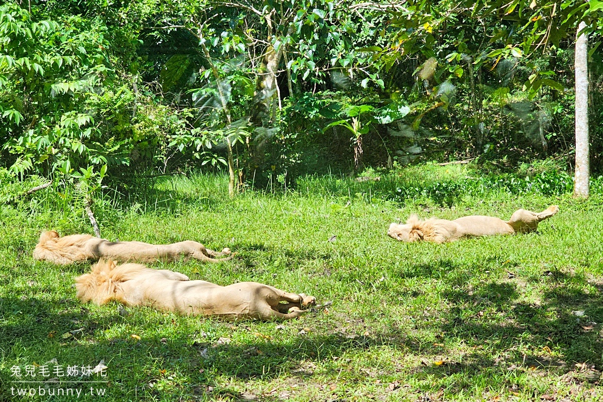 宿霧景點【宿霧野生動物園】Cebu Safari and Adventure Park～菲律賓最大最好玩動物園 @兔兒毛毛姊妹花