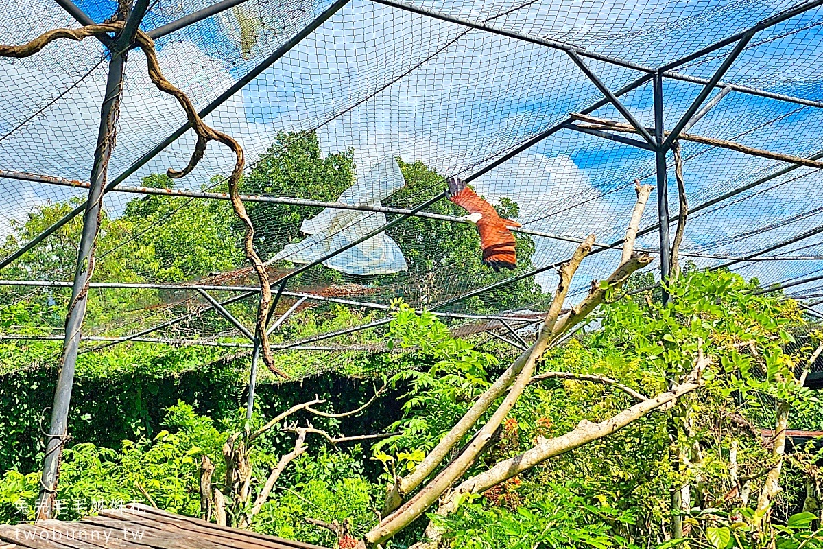 宿霧景點【宿霧野生動物園】Cebu Safari and Adventure Park～菲律賓最大最好玩動物園 @兔兒毛毛姊妹花