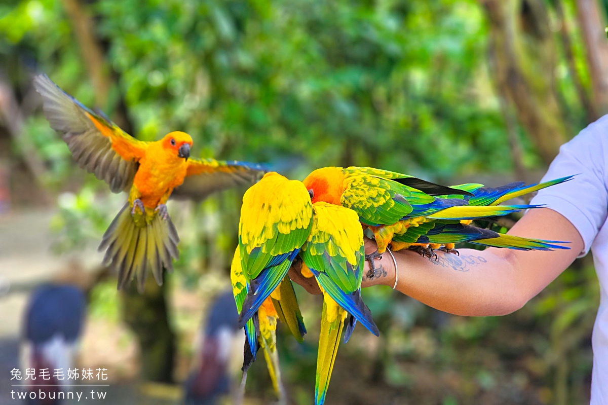 宿霧景點【宿霧野生動物園】Cebu Safari and Adventure Park～菲律賓最大最好玩動物園 @兔兒毛毛姊妹花