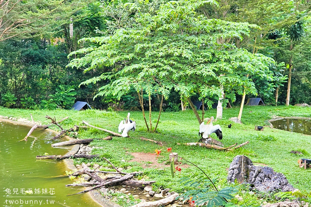 宿霧景點【宿霧野生動物園】Cebu Safari and Adventure Park～菲律賓最大最好玩動物園 @兔兒毛毛姊妹花