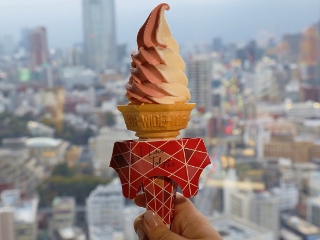 東京景點「東京鐵塔」經典打卡地標 TokyoTower，不只能拍照打卡還能上展望台看夜景 @兔兒毛毛姊妹花