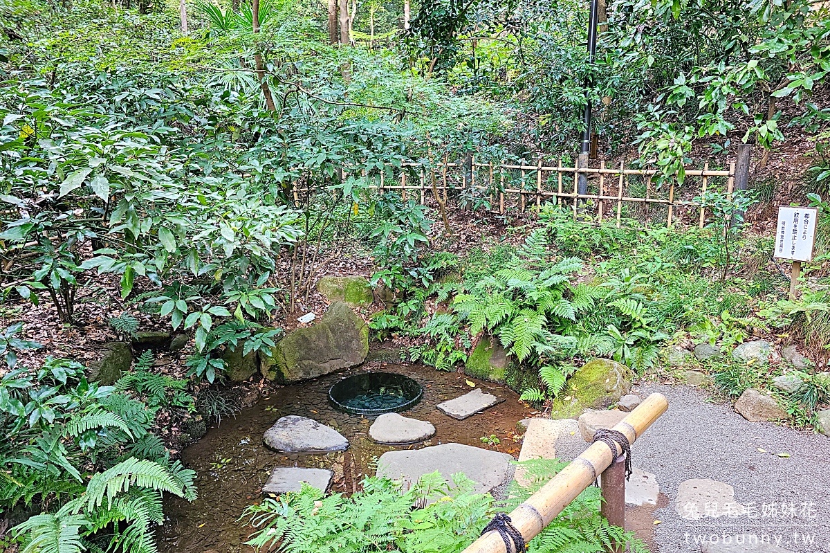 東京景點【明治神宮】參訪地圖、必拍重點攻略～大鳥居、百年森林，還有特色御守 @兔兒毛毛姊妹花