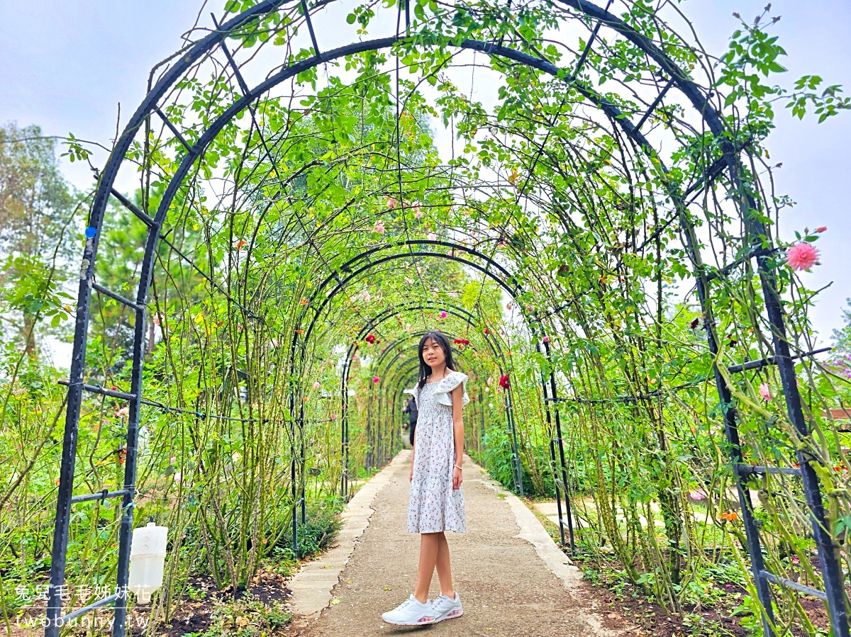 苗栗三義景點【雅聞香草植物工廠】浪漫風車玫瑰園免費逛，庭園餐廳享用健康均衡早午餐 @兔兒毛毛姊妹花