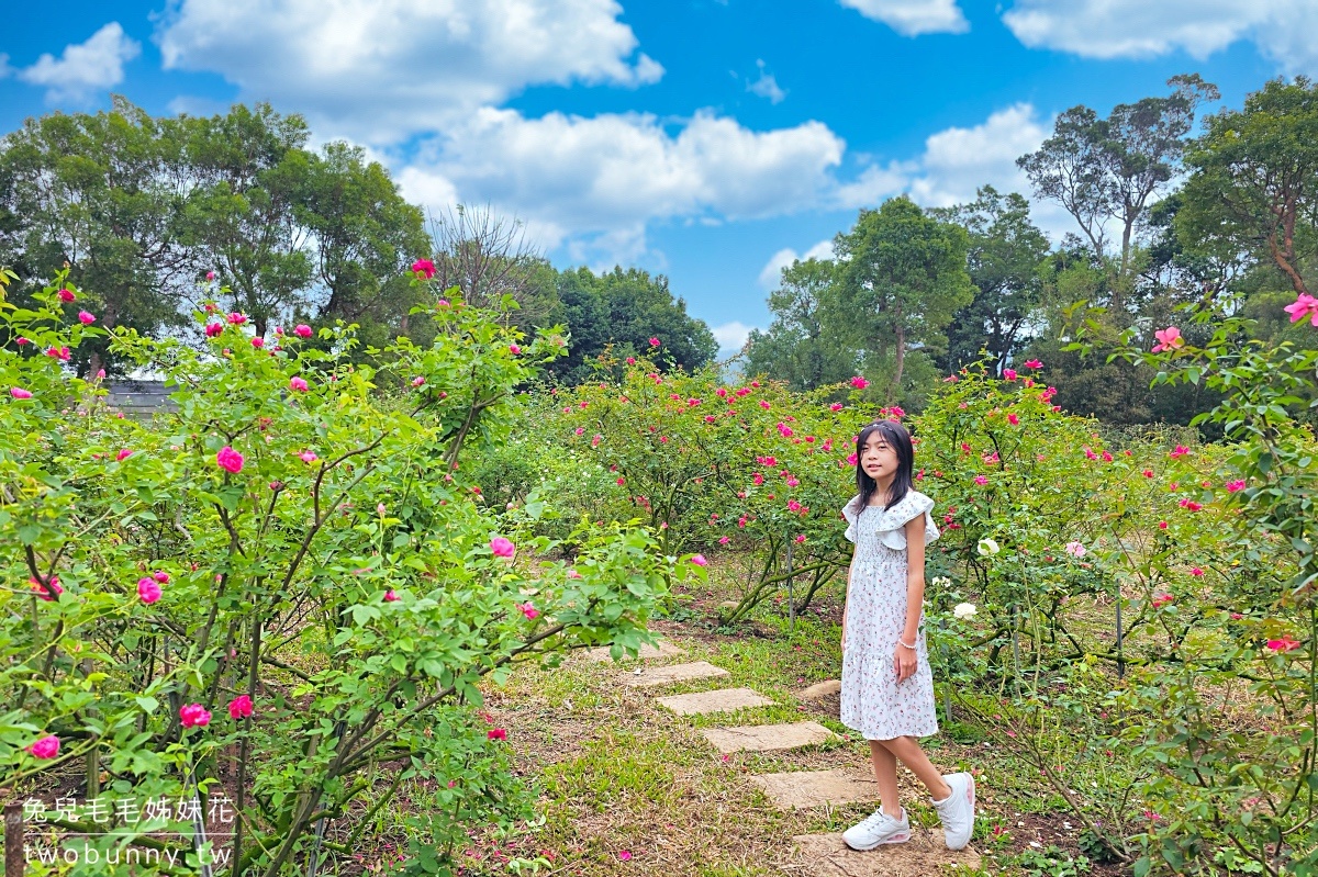 苗栗三義景點【雅聞香草植物工廠】浪漫風車玫瑰園免費逛，庭園餐廳享用健康均衡早午餐 @兔兒毛毛姊妹花