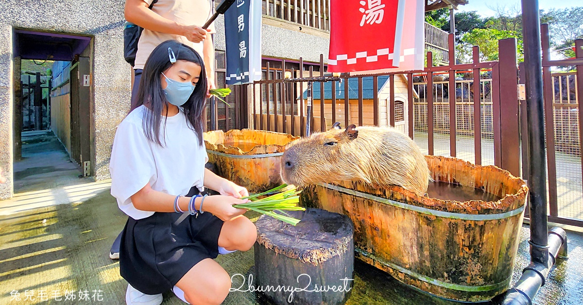 [台北｜松山。美食] QUE 原木燒烤餐廳 週末早午餐～原木燒烤牛排 x 吃到飽自助吧 x 兒童遊戲包廂～讓爸媽悠閒用餐、朋友盡情聊天的早午餐餐廳 ＠ amba 松山意舍酒店｜捷運松山站美食｜松山火車站餐廳 @兔兒毛毛姊妹花