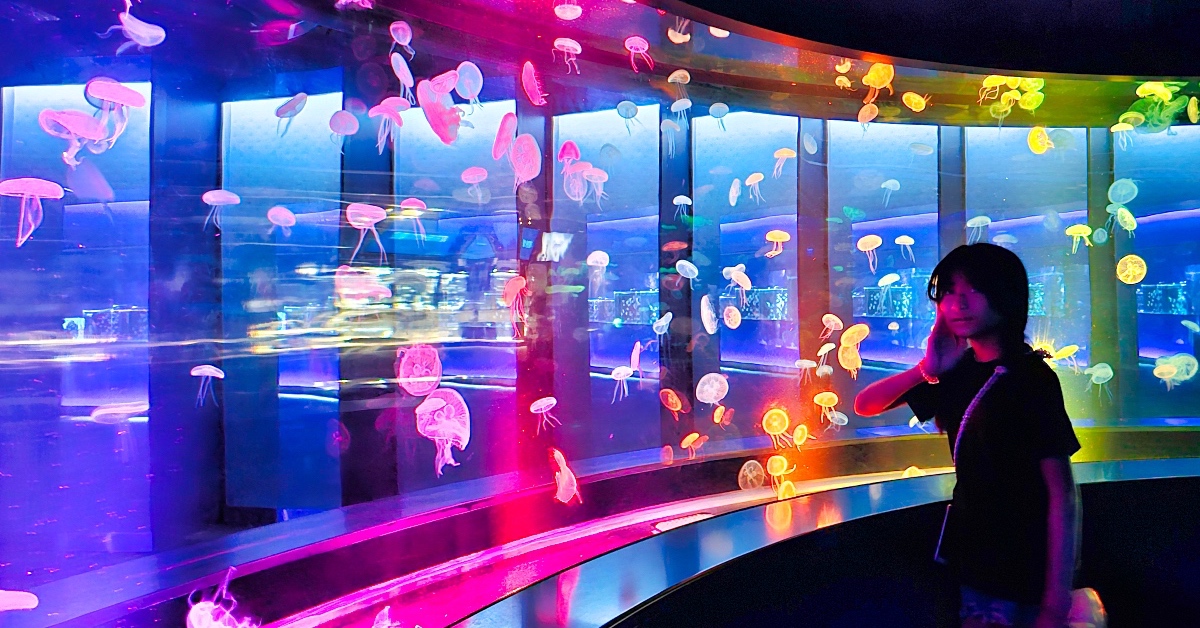 京都水族館｜京都車站附近室內景點推薦・梅小路公園美拍水族館與親子必訪亮點攻略 @兔兒毛毛姊妹花