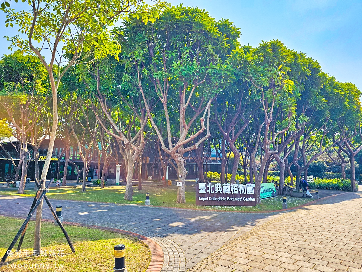 台北典藏植物園｜台北免費都市玻璃屋森林秘境，遮陽躲雨吹冷氣免門票室內景點 @兔兒毛毛姊妹花