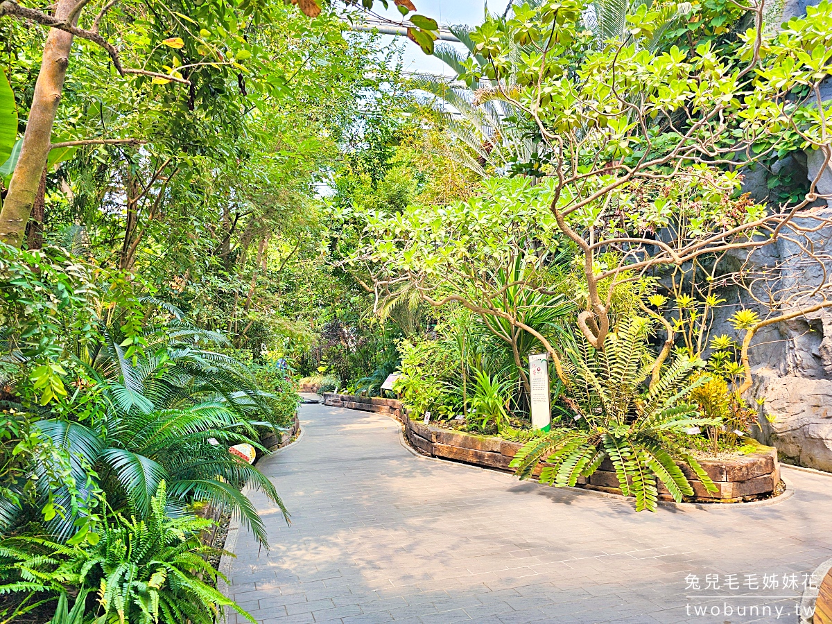 台北典藏植物園｜台北免費都市玻璃屋森林秘境，遮陽躲雨吹冷氣免門票室內景點 @兔兒毛毛姊妹花