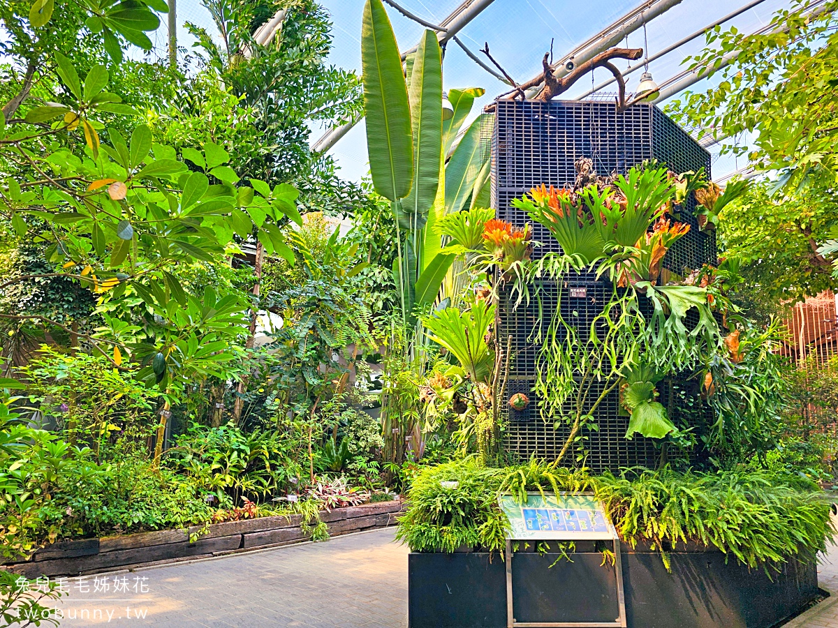 台北典藏植物園｜台北免費都市玻璃屋森林秘境，遮陽躲雨吹冷氣免門票室內景點 @兔兒毛毛姊妹花