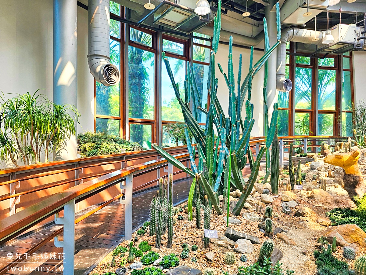 台北典藏植物園｜台北免費都市玻璃屋森林秘境，遮陽躲雨吹冷氣免門票室內景點 @兔兒毛毛姊妹花