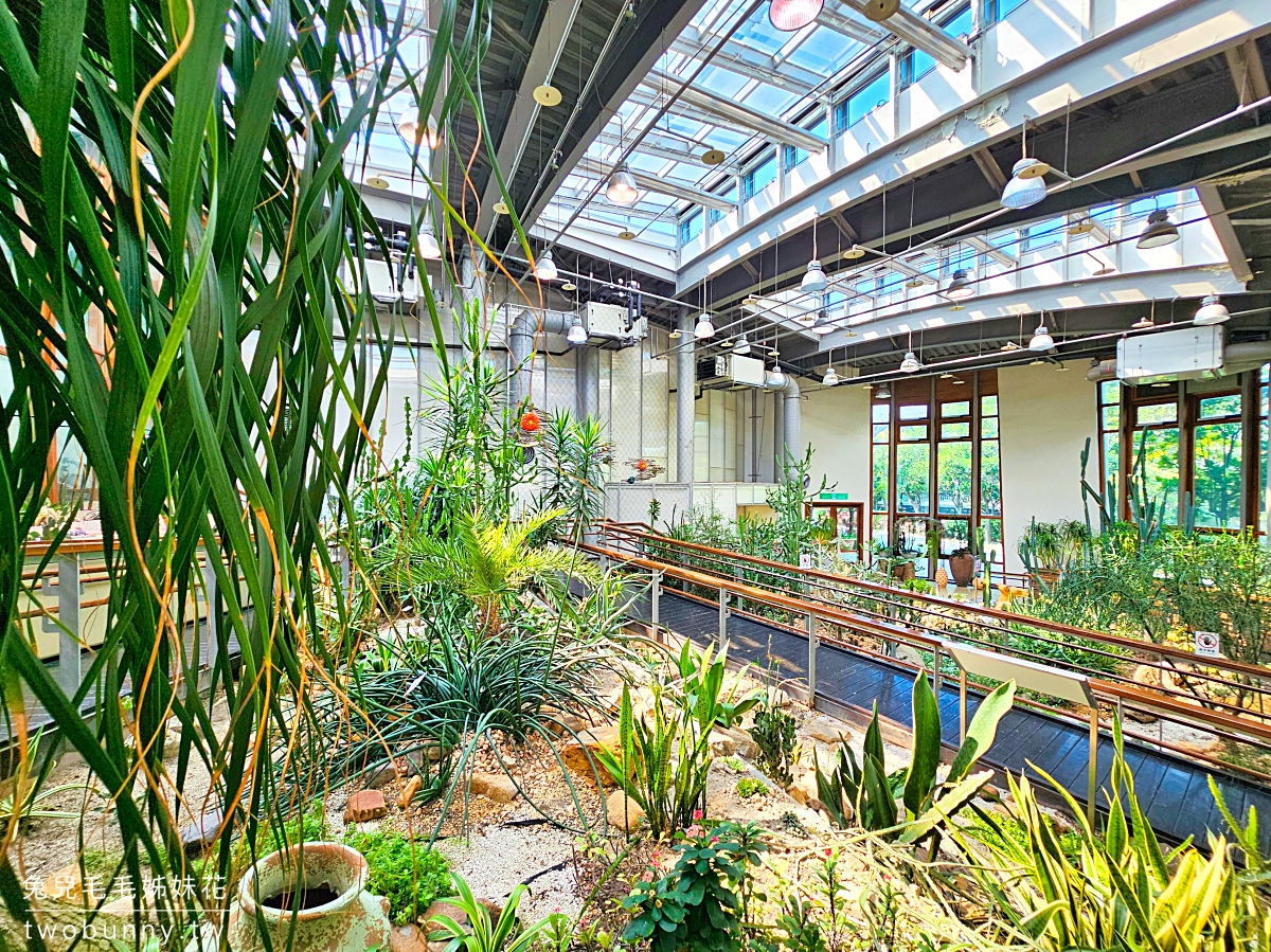 台北典藏植物園｜台北免費都市玻璃屋森林秘境，遮陽躲雨吹冷氣免門票室內景點 @兔兒毛毛姊妹花