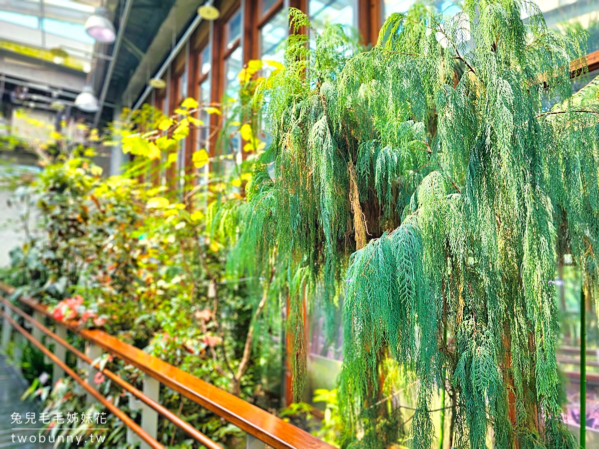 台北典藏植物園｜台北免費都市玻璃屋森林秘境，遮陽躲雨吹冷氣免門票室內景點 @兔兒毛毛姊妹花