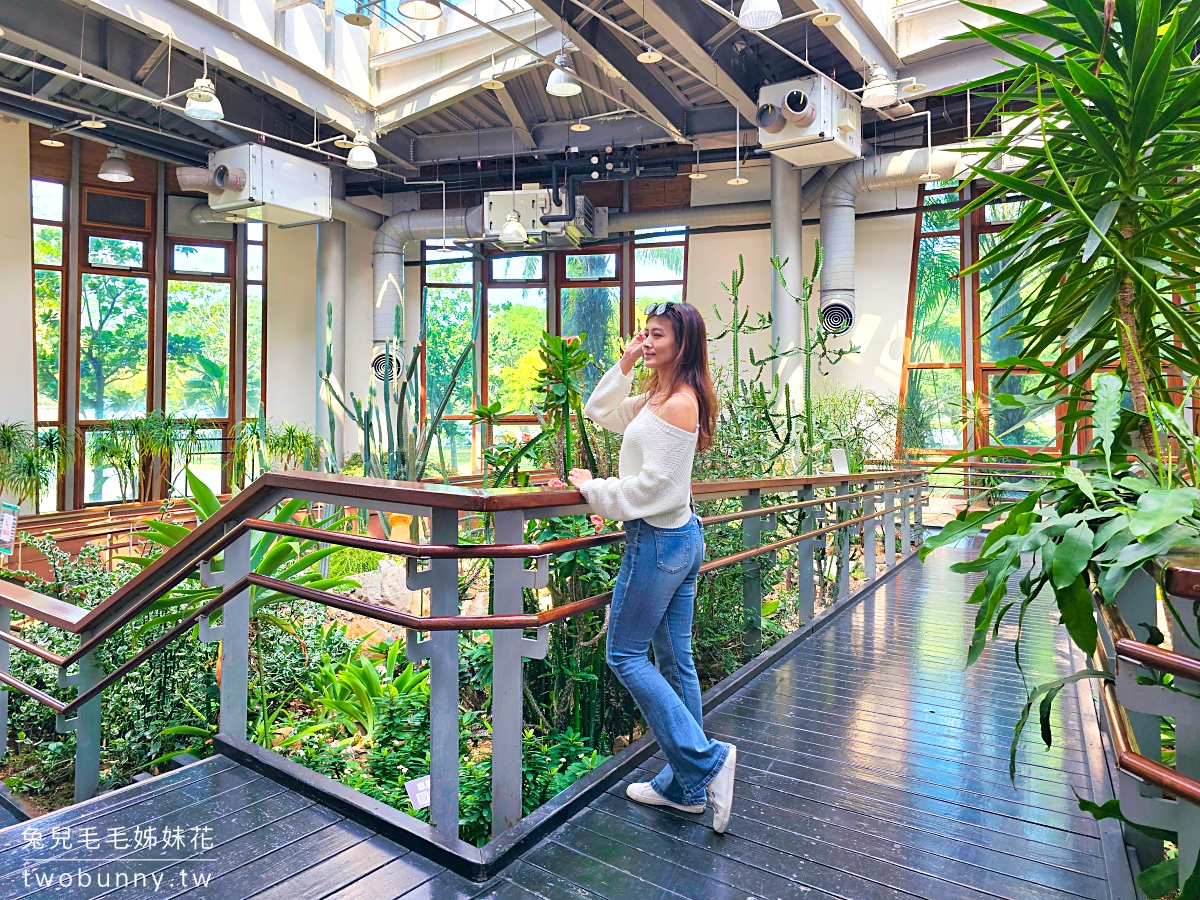 台北典藏植物園｜台北免費都市玻璃屋森林秘境，遮陽躲雨吹冷氣免門票室內景點 @兔兒毛毛姊妹花