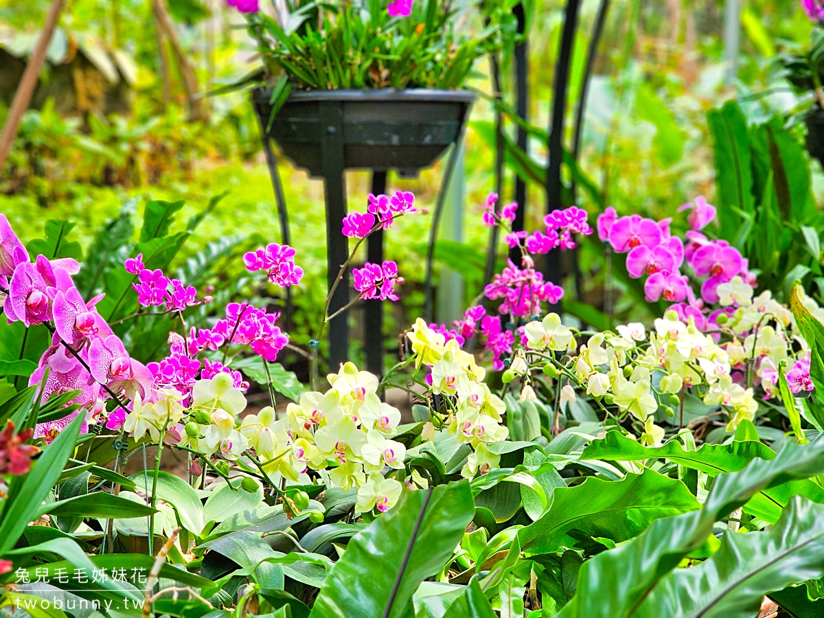 台北典藏植物園｜台北免費都市玻璃屋森林秘境，遮陽躲雨吹冷氣免門票室內景點 @兔兒毛毛姊妹花