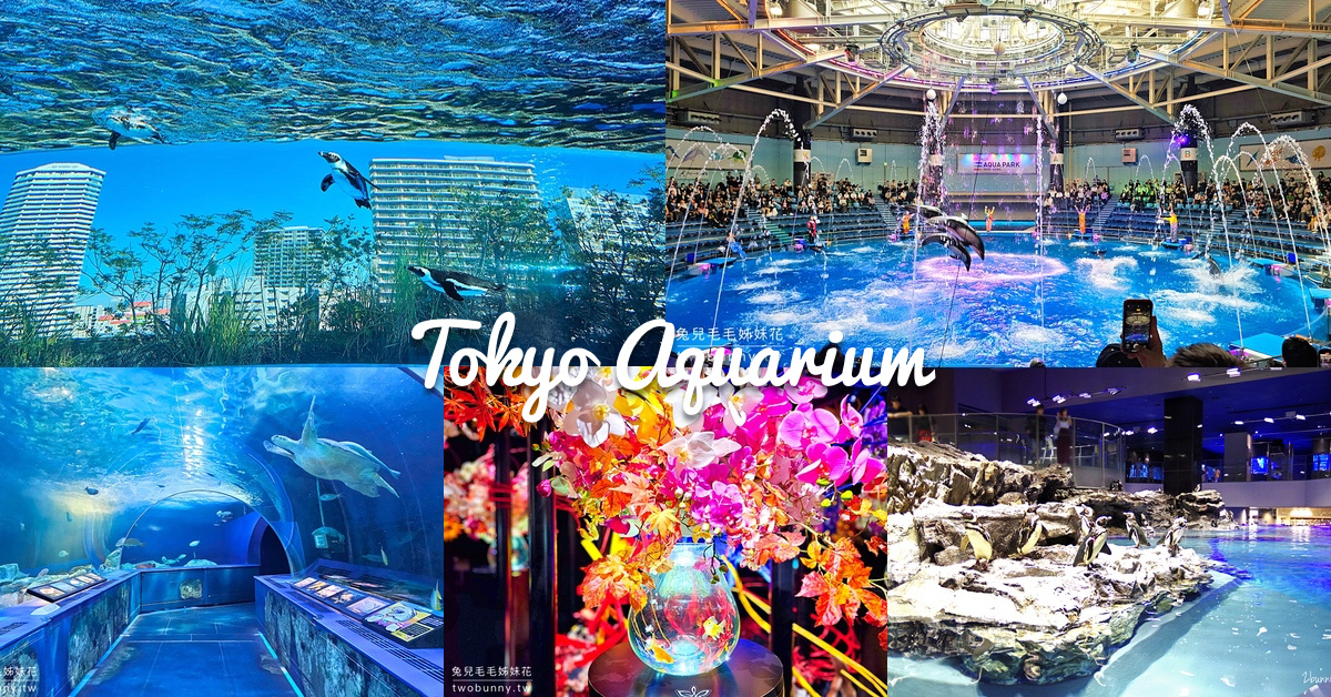 東京水族館｜五間東京必訪水族館門票、交通、特色大評比 &#038; 玩樂攻略 @兔兒毛毛姊妹花