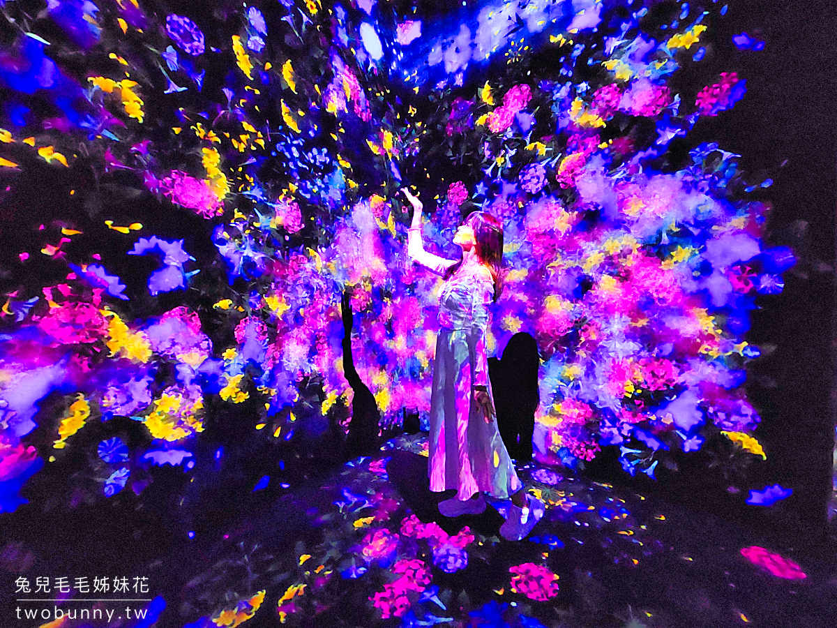 teamLab 無界：森大廈數字藝術美術館｜全新東京室內景點，麻布台 Hills 最夢幻美拍聖地 @兔兒毛毛姊妹花