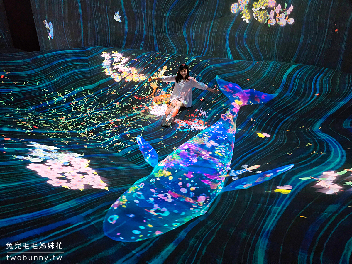 teamLab 共創！未來園｜免飛日本，2024 台北 teamLab 互動藝術展時間地點 優惠門票攻略 @兔兒毛毛姊妹花