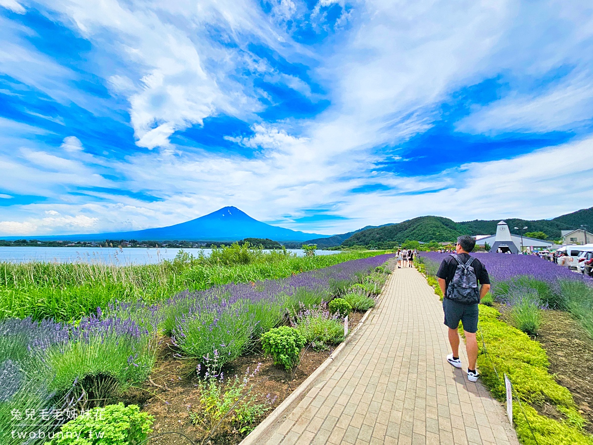 大石公園 河口湖自然生活館｜富士山美景搭配薰衣草、波波草太夢幻，還有無敵景觀咖啡廳 @兔兒毛毛姊妹花