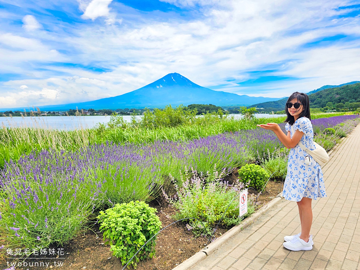 大石公園 河口湖自然生活館｜富士山美景搭配薰衣草、波波草太夢幻，還有無敵景觀咖啡廳 @兔兒毛毛姊妹花