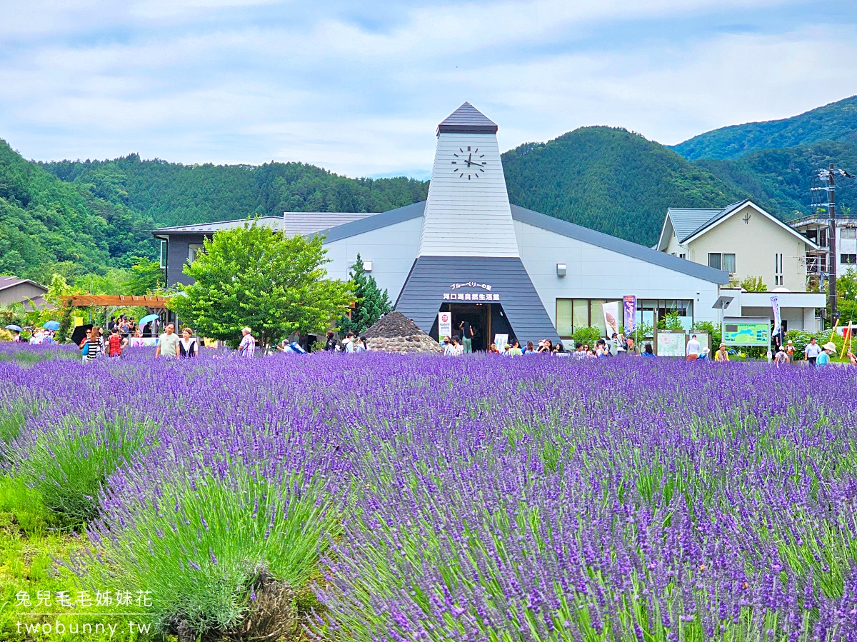 大石公園 河口湖自然生活館｜富士山美景搭配薰衣草、波波草太夢幻，還有無敵景觀咖啡廳 @兔兒毛毛姊妹花