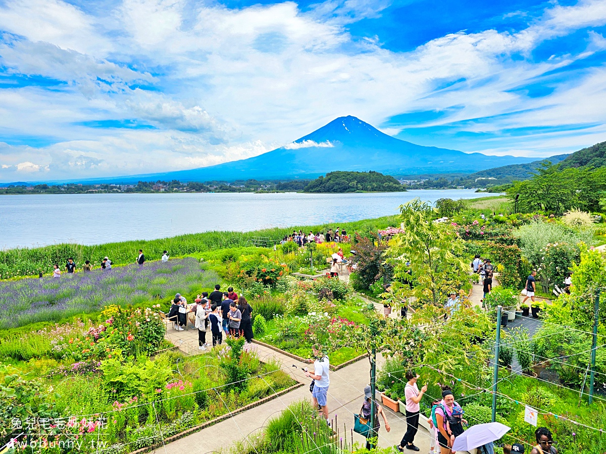 大石公園 河口湖自然生活館｜富士山美景搭配薰衣草、波波草太夢幻，還有無敵景觀咖啡廳 @兔兒毛毛姊妹花