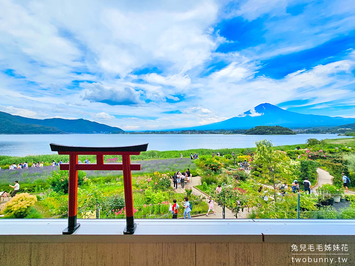 大石公園 河口湖自然生活館｜富士山美景搭配薰衣草、波波草太夢幻，還有無敵景觀咖啡廳 @兔兒毛毛姊妹花