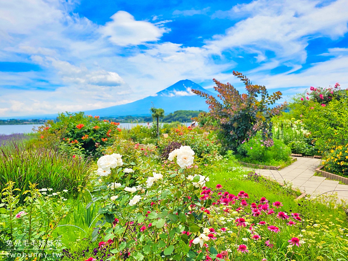 大石公園 河口湖自然生活館｜富士山美景搭配薰衣草、波波草太夢幻，還有無敵景觀咖啡廳 @兔兒毛毛姊妹花