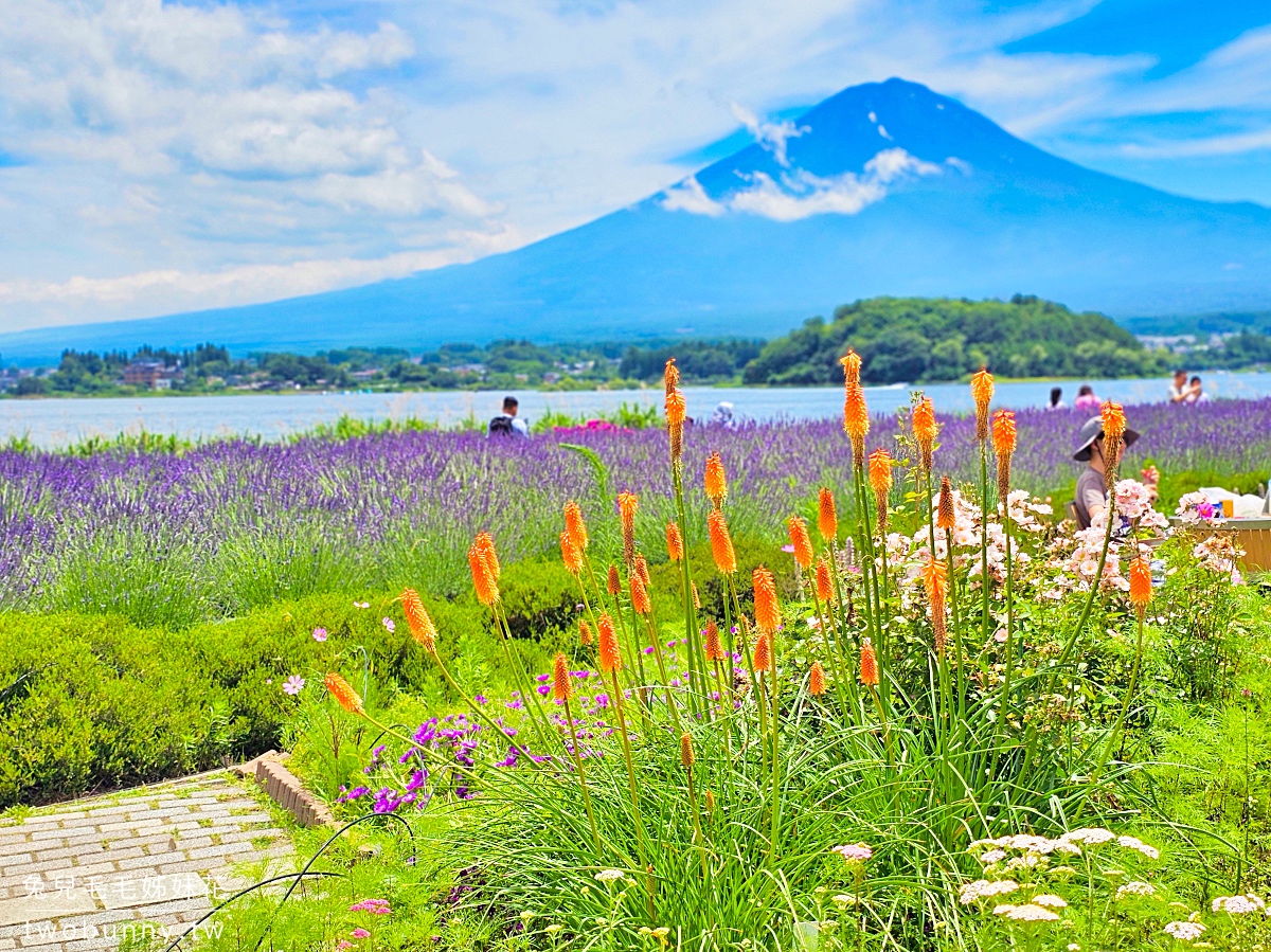 大石公園 河口湖自然生活館｜富士山美景搭配薰衣草、波波草太夢幻，還有無敵景觀咖啡廳 @兔兒毛毛姊妹花