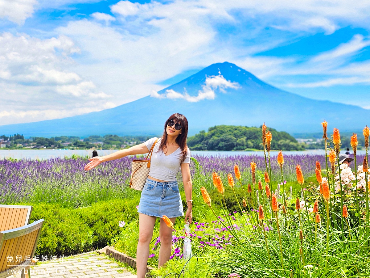 大石公園 河口湖自然生活館｜富士山美景搭配薰衣草、波波草太夢幻，還有無敵景觀咖啡廳 @兔兒毛毛姊妹花