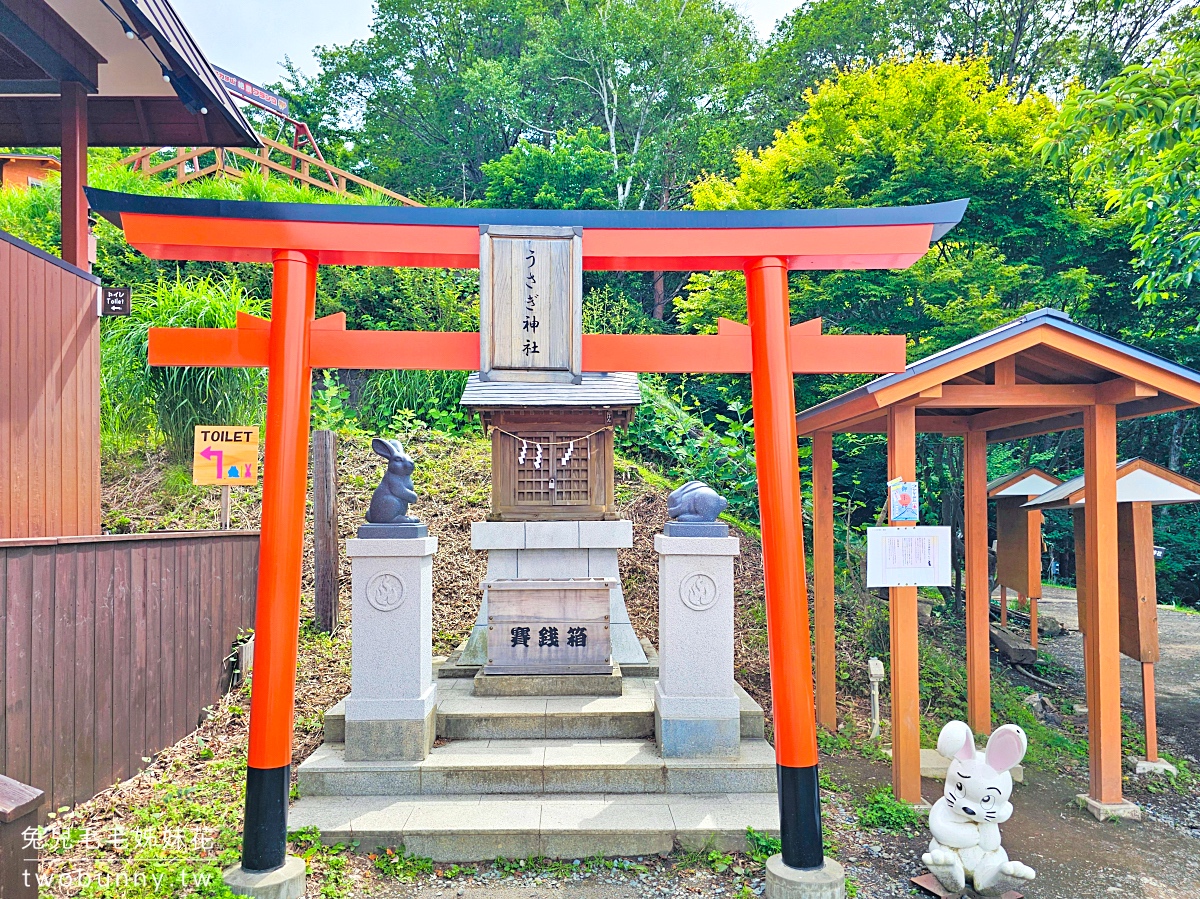 河口湖天上山公園｜搭乘河口湖全景纜車上山，邊盪鞦韆邊欣賞富士山絕景 @兔兒毛毛姊妹花