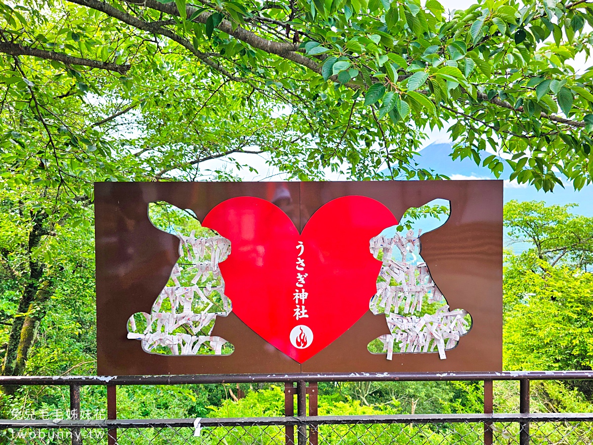 河口湖天上山公園｜搭乘河口湖全景纜車上山，邊盪鞦韆邊欣賞富士山絕景 @兔兒毛毛姊妹花