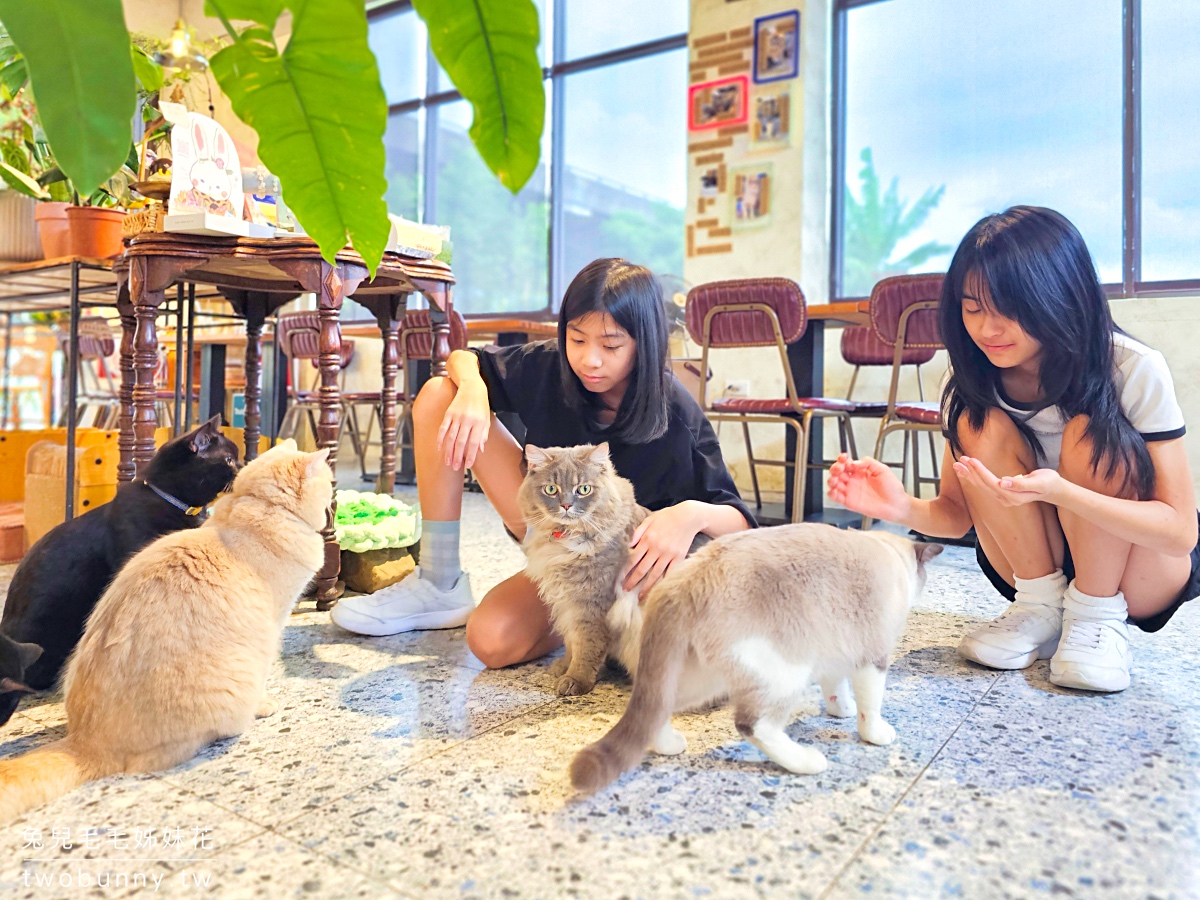 萬記商行｜宜蘭礁溪貓咪咖啡廳～好拍網美風空間、超萌動物造型甜點，餐點精緻又美味 @兔兒毛毛姊妹花