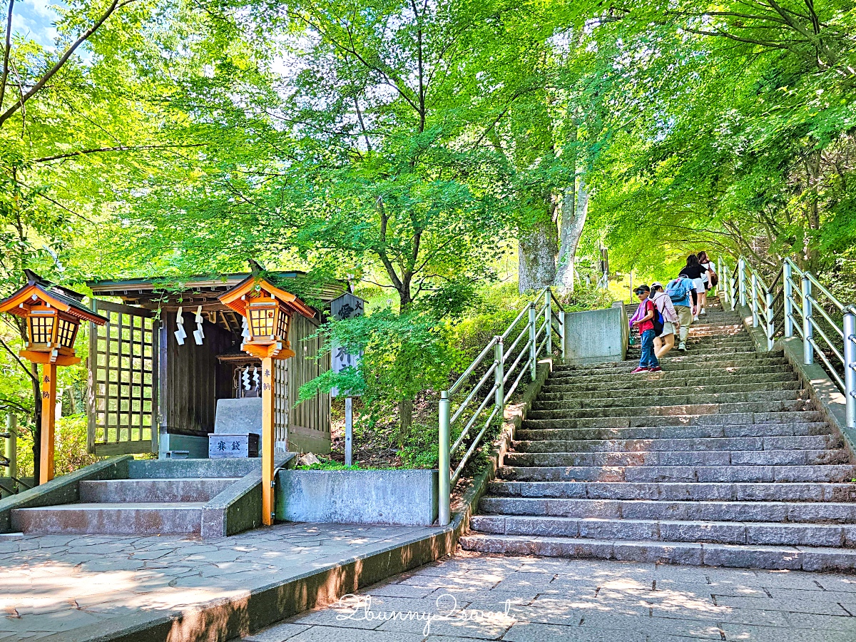 新倉山淺間公園｜河口湖必拍五重塔＋富士山無敵美景，富士山絕美賞櫻勝地 @兔兒毛毛姊妹花