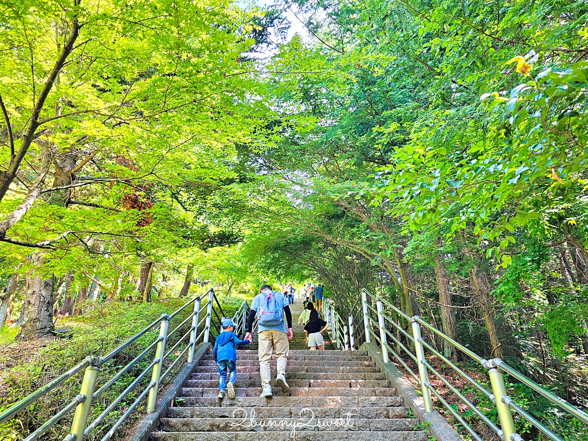 新倉山淺間公園｜河口湖必拍五重塔＋富士山無敵美景，富士山絕美賞櫻勝地 @兔兒毛毛姊妹花