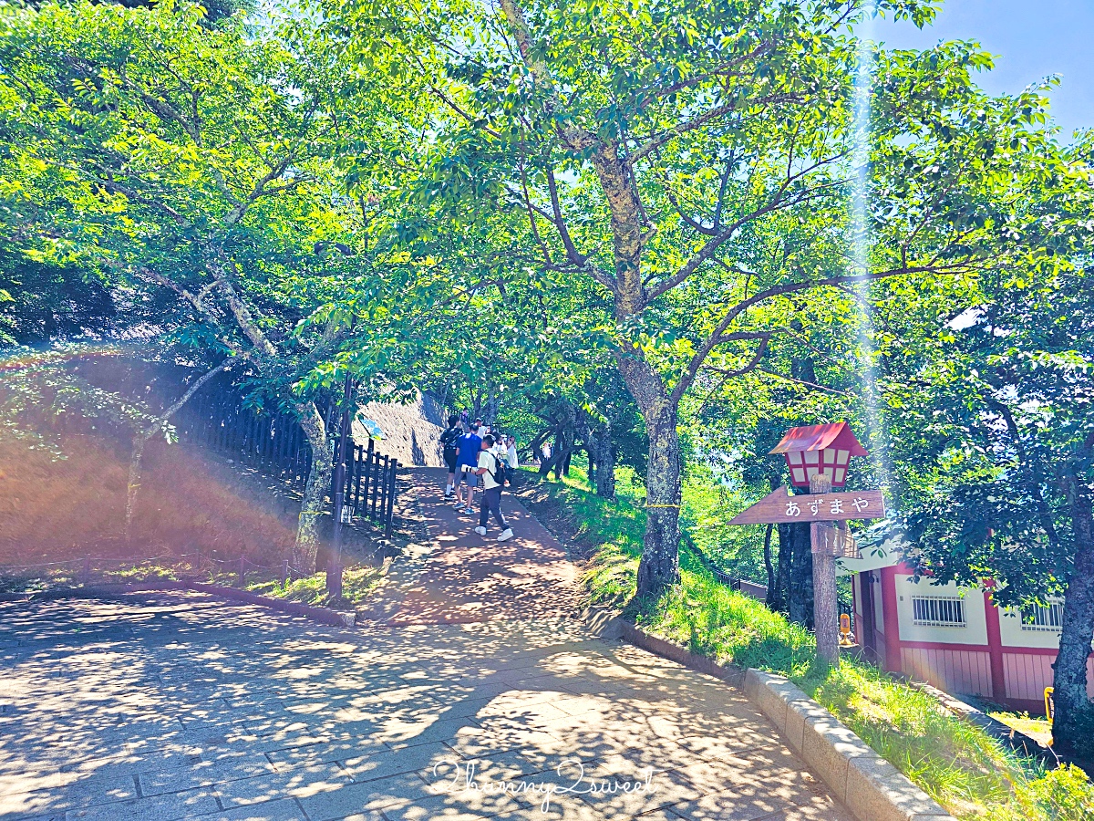 新倉山淺間公園｜河口湖必拍五重塔＋富士山無敵美景，富士山絕美賞櫻勝地 @兔兒毛毛姊妹花