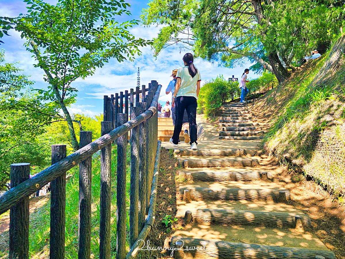 新倉山淺間公園｜河口湖必拍五重塔＋富士山無敵美景，富士山絕美賞櫻勝地 @兔兒毛毛姊妹花