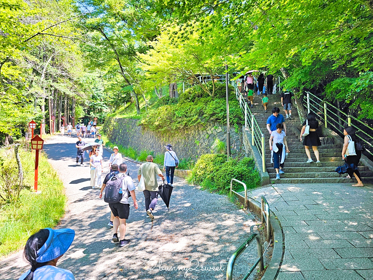 新倉山淺間公園｜河口湖必拍五重塔＋富士山無敵美景，富士山絕美賞櫻勝地 @兔兒毛毛姊妹花