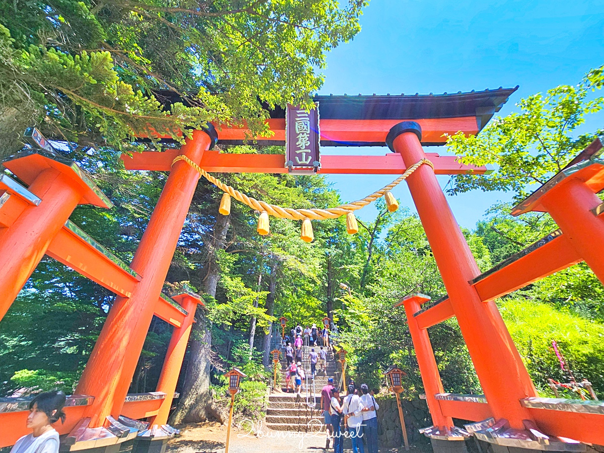 新倉山淺間公園｜河口湖必拍五重塔＋富士山無敵美景，富士山絕美賞櫻勝地 @兔兒毛毛姊妹花