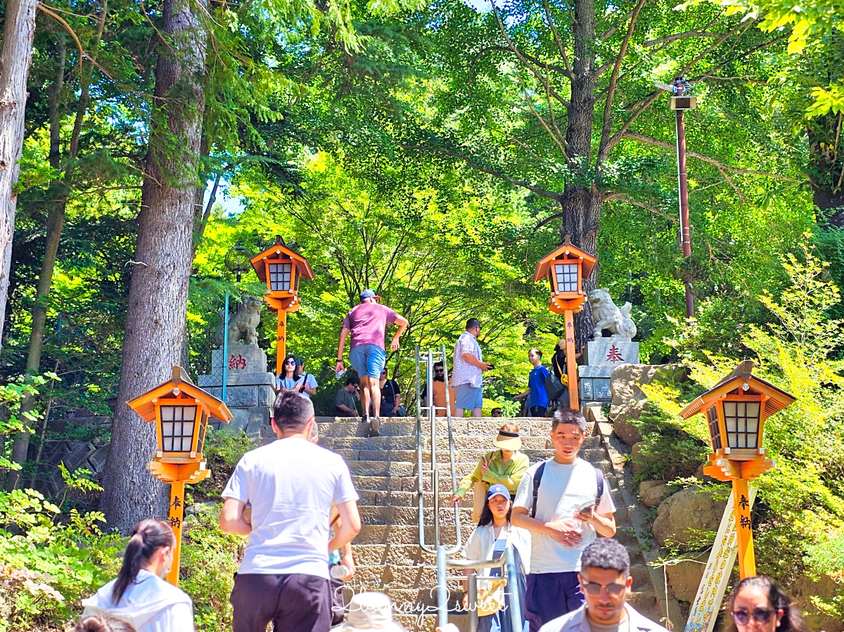 新倉山淺間公園｜河口湖必拍五重塔＋富士山無敵美景，富士山絕美賞櫻勝地 @兔兒毛毛姊妹花