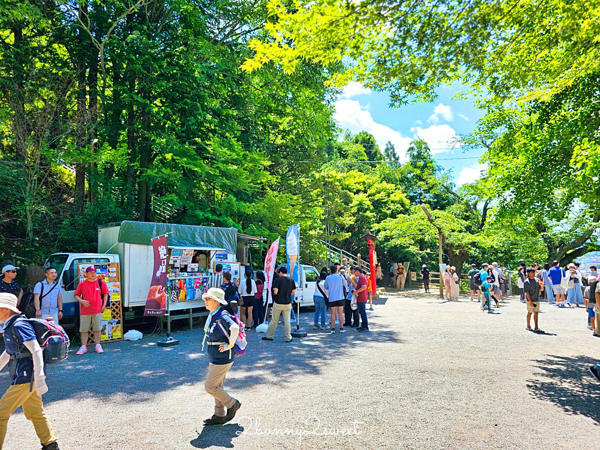 新倉山淺間公園｜河口湖必拍五重塔＋富士山無敵美景，富士山絕美賞櫻勝地 @兔兒毛毛姊妹花