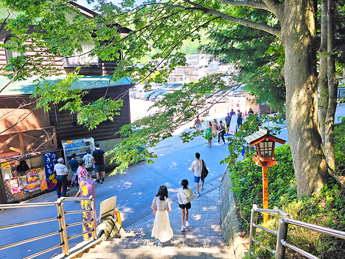 新倉山淺間公園｜河口湖必拍五重塔＋富士山無敵美景，富士山絕美賞櫻勝地 @兔兒毛毛姊妹花