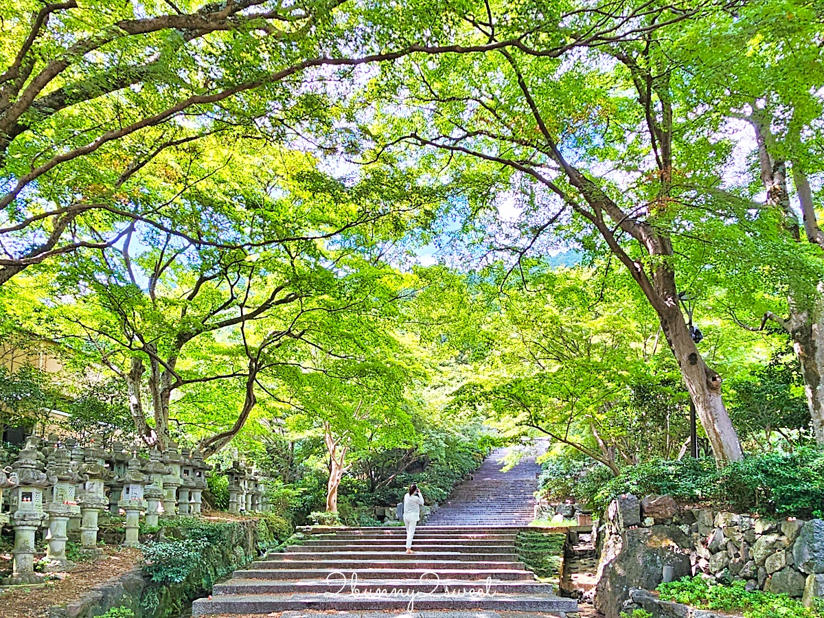 勝尾寺｜大阪近郊景點～滿滿達摩不倒翁太好拍，秋天賞楓、祈求勝運必來 @兔兒毛毛姊妹花