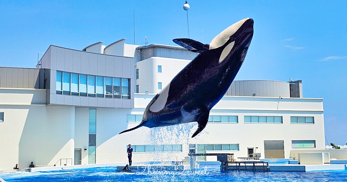 神戶須磨海洋世界 Kobe Suma Seaworld｜西日本唯一虎鯨表演水族館 2024 重新開幕 @兔兒毛毛姊妹花