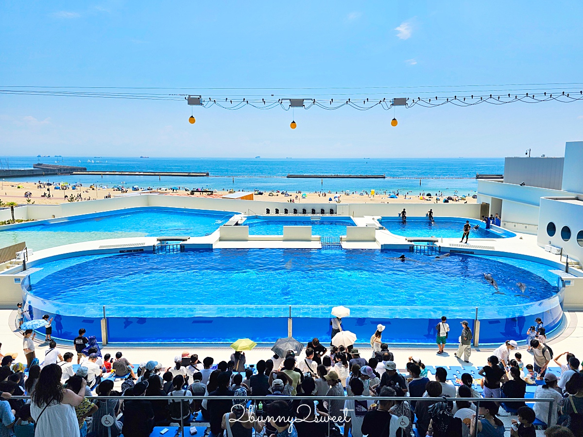 神戶須磨海洋世界 Kobe Suma Seaworld｜西日本唯一虎鯨表演水族館 2024 重新開幕 @兔兒毛毛姊妹花