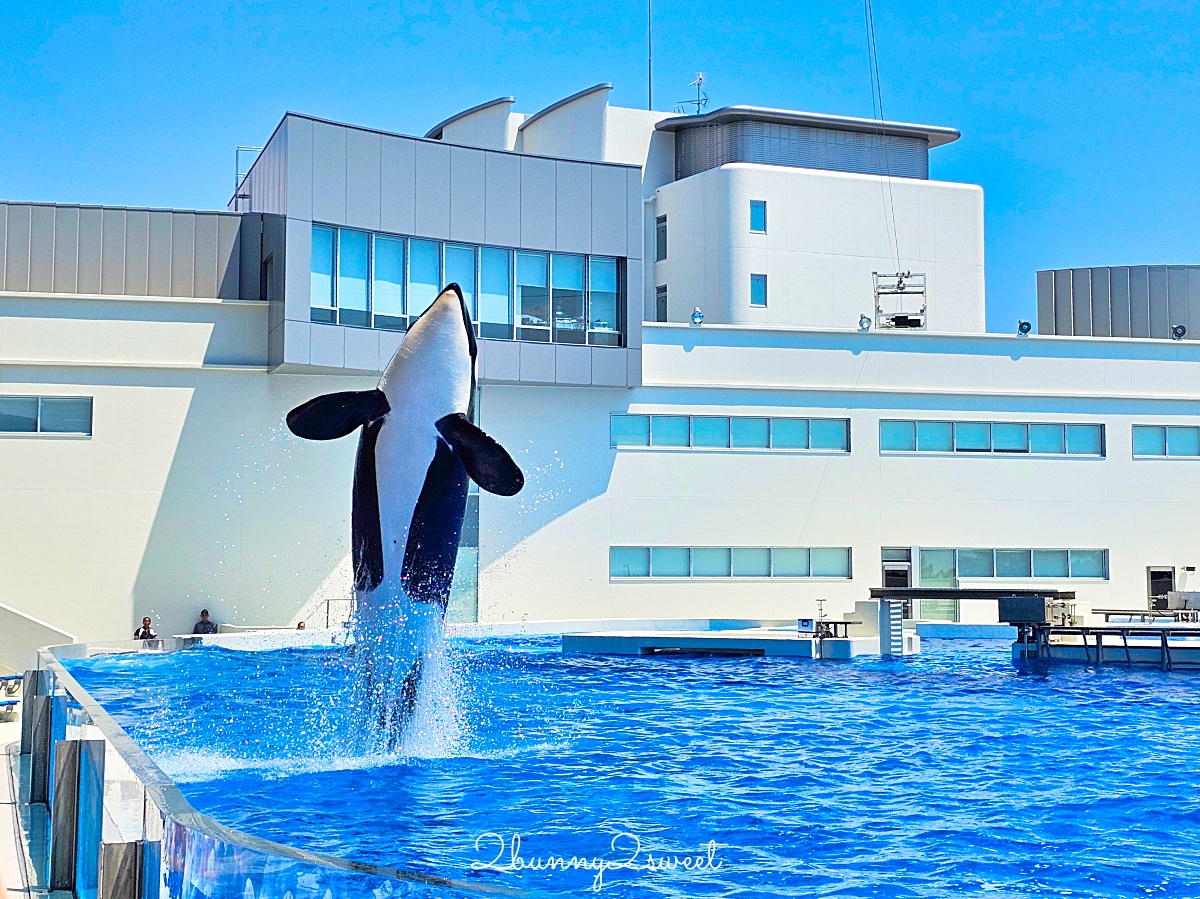 神戶須磨海洋世界 Kobe Suma Seaworld｜西日本唯一虎鯨表演水族館 2024 重新開幕 @兔兒毛毛姊妹花